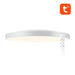 Smart ceiling lamp 32cm WiFi/Bluetooth 16M RGBCW Gosund LB11 1920lm Tuya + Remote Control. - Ceiling