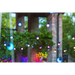 SMART LIGHTS TWINKLY FESTOON 20 RGB 10 M - Christmas tree lightsOSW-OLC<<<LightingOSW<<<ActionPL