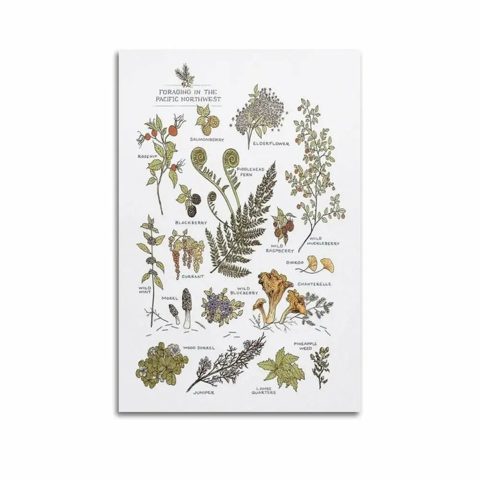 Smart TV Samsung UE32H5002FKXXH HD 32’’ LED HDR - Телевизори и смарт телевизори<<<Електроника Телевизори<<<Компютри|