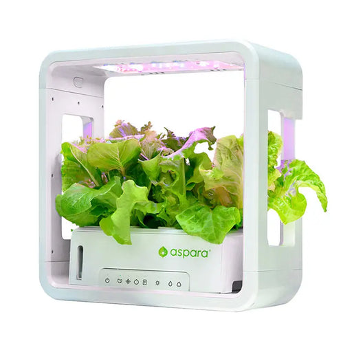 SmartPot aspara by GrowGreen Stylist Lite Smart Grower - Smart Garden<<<Smart Home<<<InnproXML