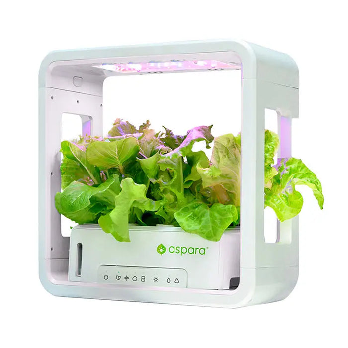 SmartPot aspara by GrowGreen Stylist Lite Smart Grower - Smart Garden<<<Smart Home<<<InnproXML