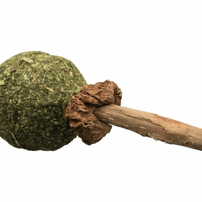 Snack for Cats Trixie Catnip/Matatabi - Домашни Животни<<<Дом Градина<<<BigBuy&&&Хранене на домашни любимци<<<Домашни