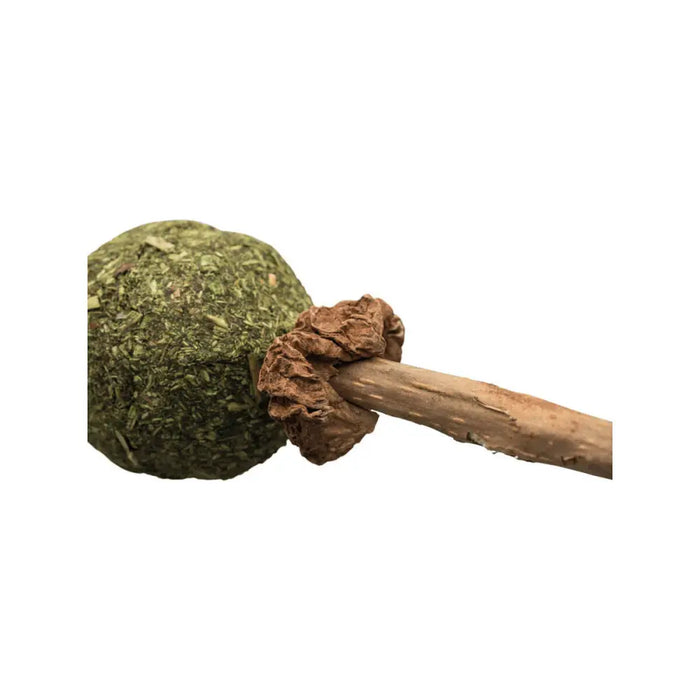 Snack for Cats Trixie Catnip/Matatabi - Домашни Животни<<<Дом Градина<<<BigBuy&&&Хранене на домашни любимци<<<Домашни