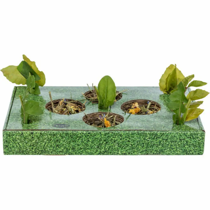 Snack tray Trixie Green Cardboard 28 x 3,8 x 18 cm - Домашни Животни<<<Дом Градина<<<BigBuy&&&Играчки<<<Домашни