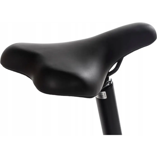 Snapp City-E Graphite folding electric bicycle - Electric bikesSIR-ROE<<<Bicycles and accessoriesSIR<<<ActionPL