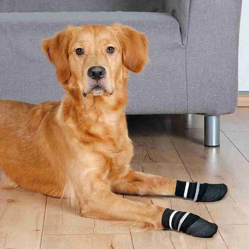 Socks Trixie Black L Dog - Домашни Животни<<<Дом Градина<<<BigBuy&&&Пътуване и разходки<<<Домашни Животни<<<Дом