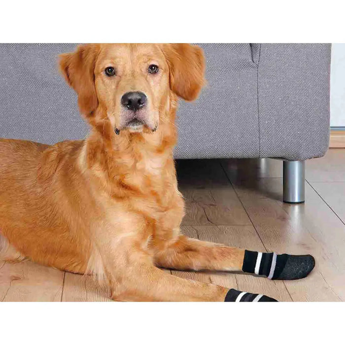 Socks Trixie Black M/L Dog - Домашни Животни<<<Дом Градина<<<BigBuy&&&Пътуване и разходки<<<Домашни Животни<<<Дом