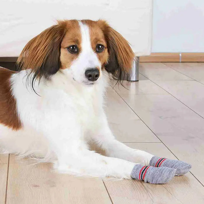 Socks Trixie Grey XS/S Dog - Домашни Животни<<<Дом Градина<<<BigBuy&&&Пътуване и разходки<<<Домашни Животни<<<Дом