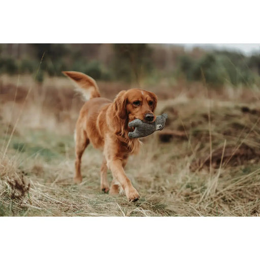 Soft toy for dogs Hunter Grey 100 % Recycled Bear - Домашни Животни<<<Дом Градина<<<BigBuy&&&Играчки<<<Домашни