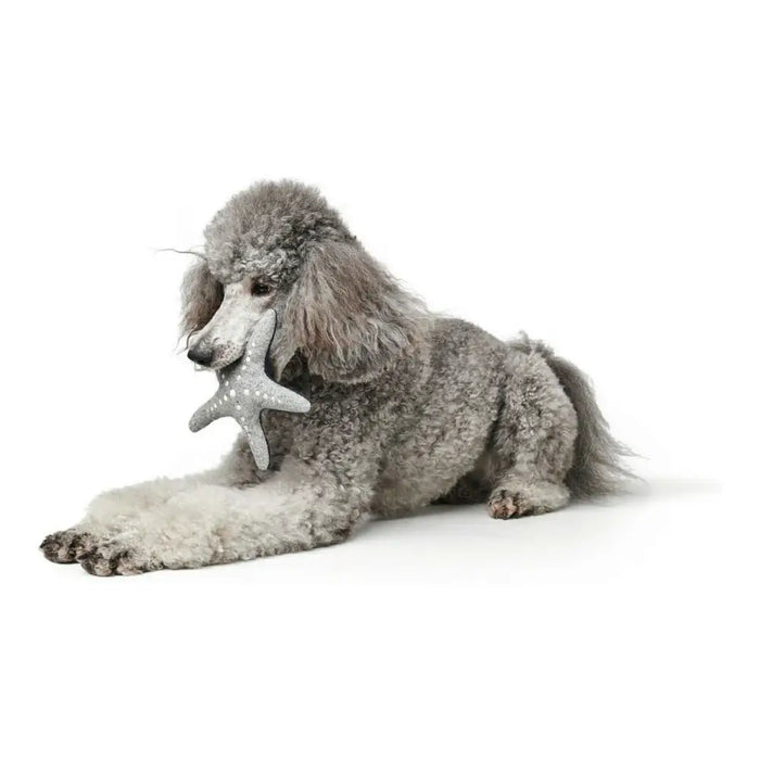 Soft toy for dogs Hunter Skagen Grey Dark blue Polyester Star - Домашни Животни<<<Дом