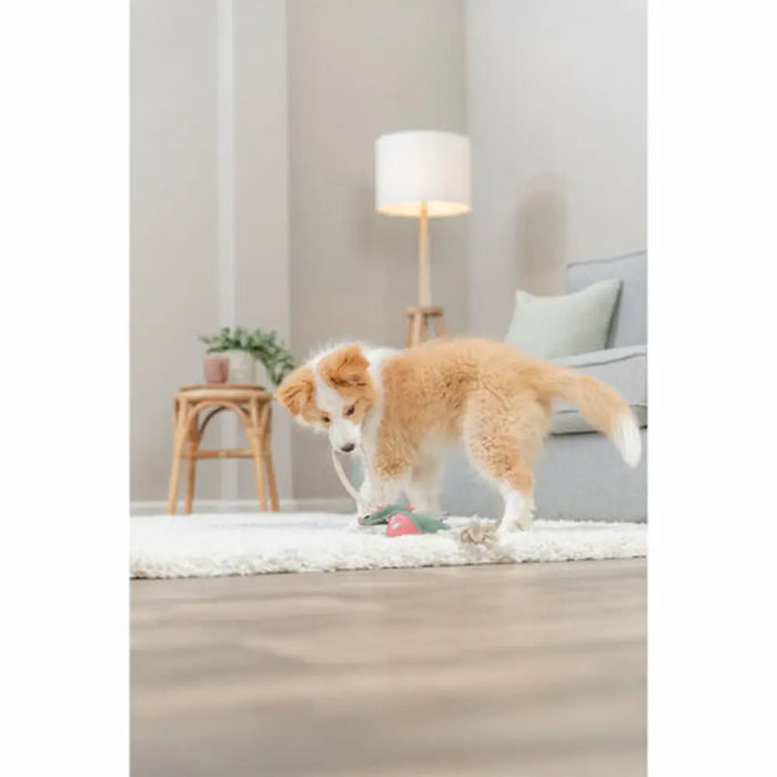 Soft toy for dogs Trixie - Домашни Животни<<<Дом Градина<<<BigBuy&&&Играчки<<<Домашни Животни<<<Дом Градина<<<BigBuy