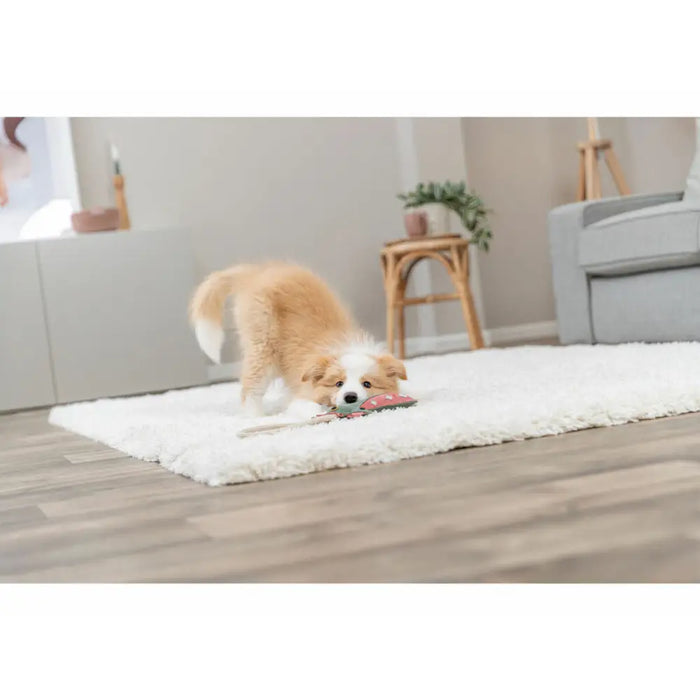 Soft toy for dogs Trixie - Домашни Животни<<<Дом Градина<<<BigBuy&&&Играчки<<<Домашни Животни<<<Дом Градина<<<BigBuy