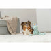 Soft toy for dogs Trixie Polyester Frog 42 cm - Домашни Животни<<<Дом Градина<<<BigBuy&&&Играчки<<<Домашни
