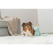 Soft toy for dogs Trixie Polyester Frog 42 cm - Домашни Животни<<<Дом Градина<<<BigBuy&&&Играчки<<<Домашни