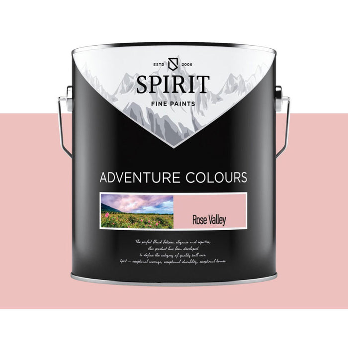COLOR LATEX PINK VALLEY 2.5 L SPIRIT ADVENTURE COLORS