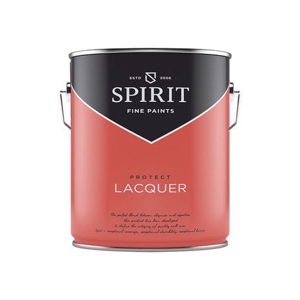 PROTECT SPIRIT PROTECTIVE VARNISH