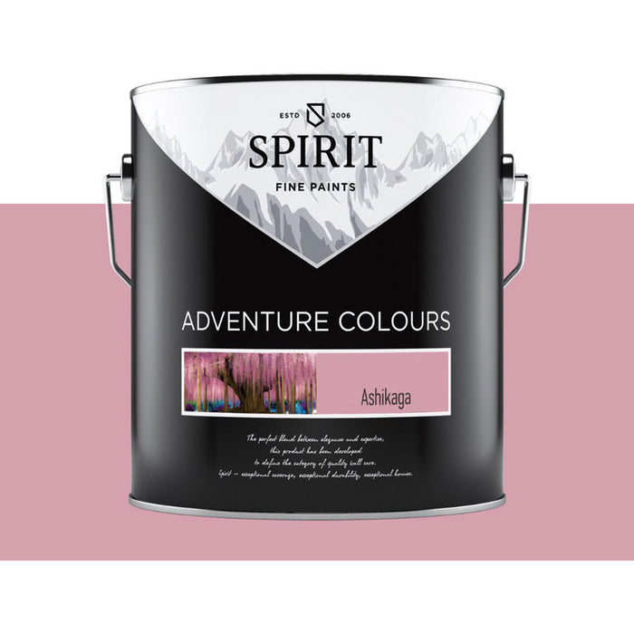 COLOR LATEX COLOR ASHIKAGA 2.5 L SPIRIT Adventure Colors