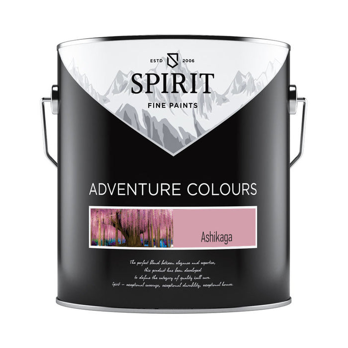 COLOR LATEX COLOR ASHIKAGA 2.5 L SPIRIT Adventure Colors