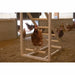 Staircase Kerbl Chicken - Домашни Животни<<<Дом Градина<<<BigBuy&&&Купички за храна и вода<<<Домашни Животни<<<Дом