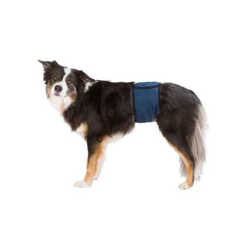 Strap Trixie 45-55 cm Male Plug Abdomen - Здраве и хигиена<<<Домашни Животни<<<Дом Градина<<<BigBuy