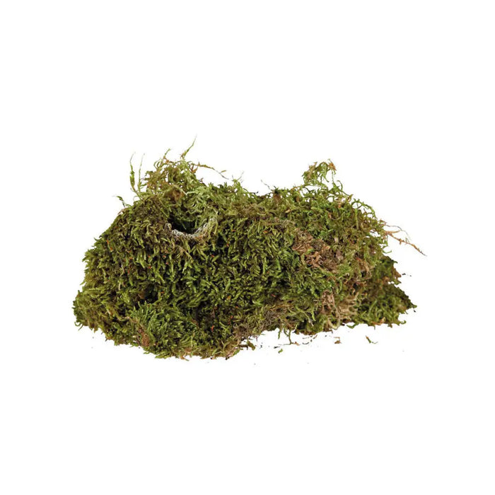 Substrate Trixie 200 gr Moss - Домашни Животни<<<Дом Градина<<<BigBuy&&&Здраве и хигиена<<<Домашни Животни<<<Дом