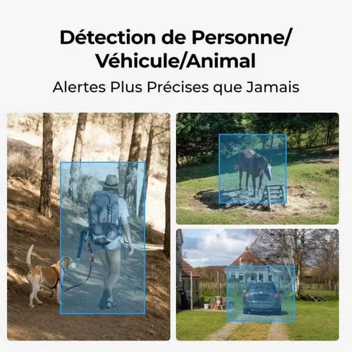 Surveillance Camcorder Reolink - Сигурност Удома<<<Дом Градина<<<BigBuy&&&Видеокамери за наблюдение<<<Сигурност