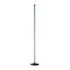 SWITCHBOT Floor Lamp RGBICWW