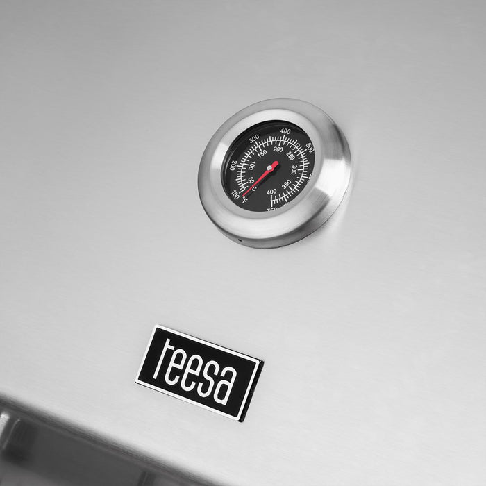 TEESA GAS GRILL BBQ 5007 5 BURNER TSA0251
