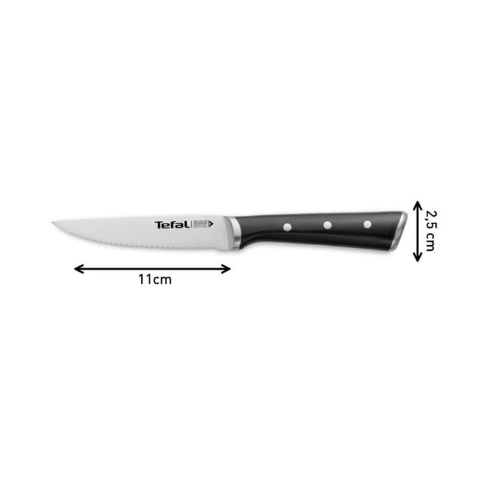 Set of steak knives TEFAL Ice Force 4 pcs. 11 cm. K232S414