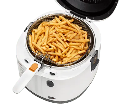 Fryer TEFAL FF162131 Filtra One