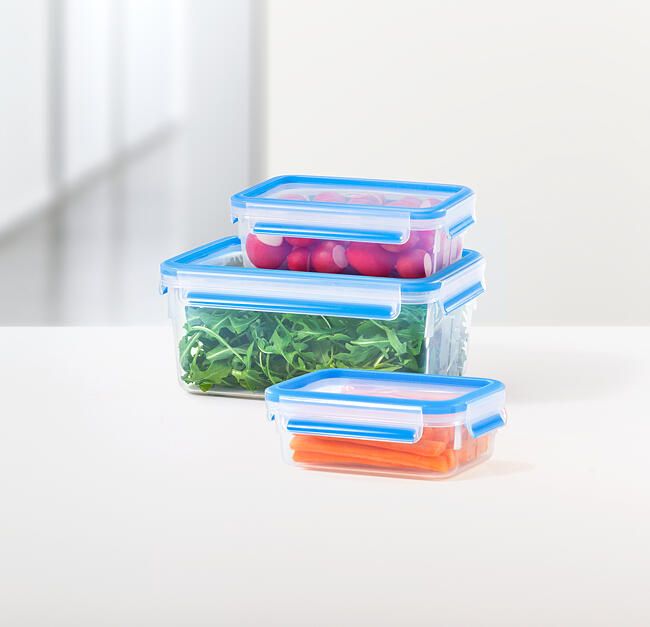 Storage box TEFAL Masterseal Fresh Box 0.80L - K3021812