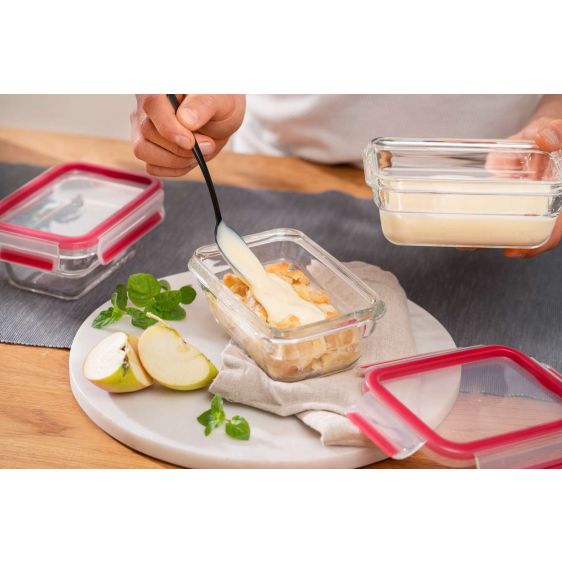 Food box TEFAL N1040510 MSEAL 0.45L, glass