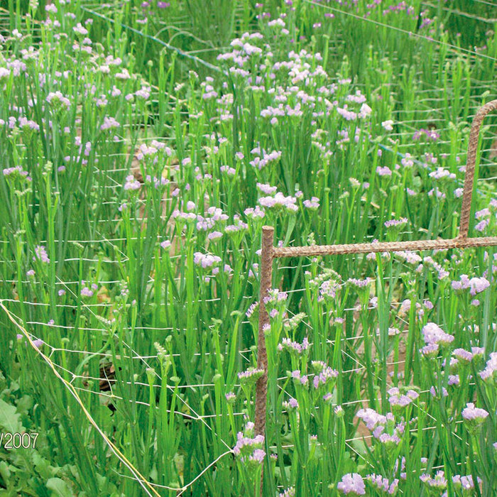 NETTING FOR WRAPING PLANTS 200CM TENAX HORTONOVA