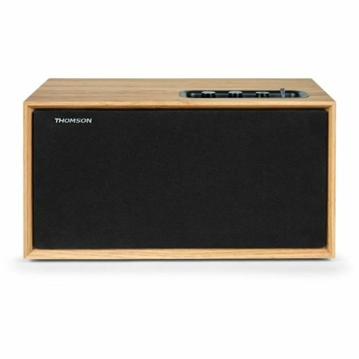 Portable Speaker Thomson WS502 Black Beige 100 W