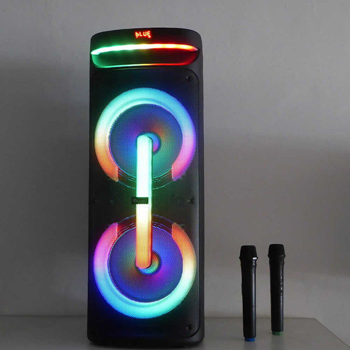THUNDER THS-B1021 audio system