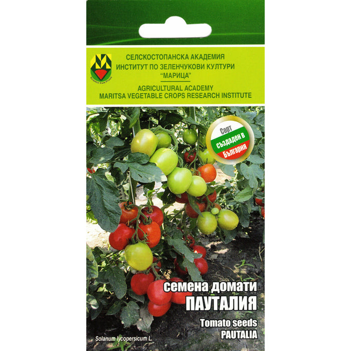 TOMATO SEEDS PAUTALIA IZK MARITSA - Семена<<<Семена луковици и разсад<<<Градина<<<Praktiker