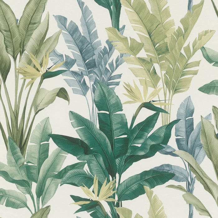 WALLPAPER DUPLEX TONI BAD GREEN PALM LEAVES