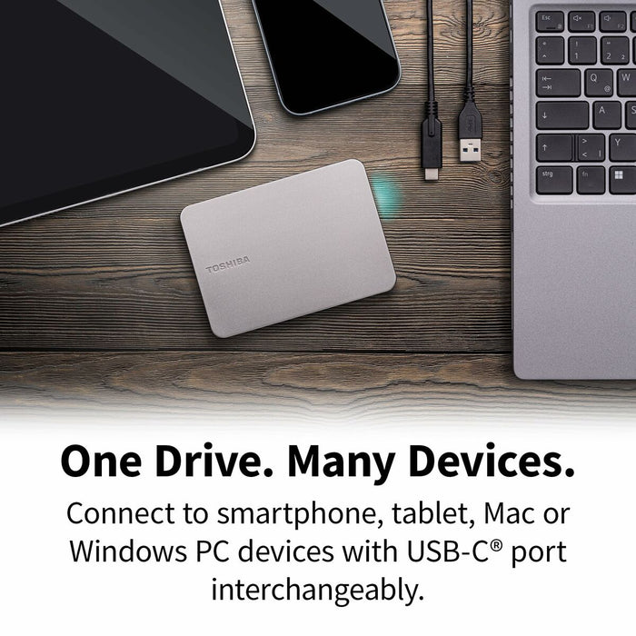 External Hard Drive Toshiba HDTX210ESCAA Grey Magnetic