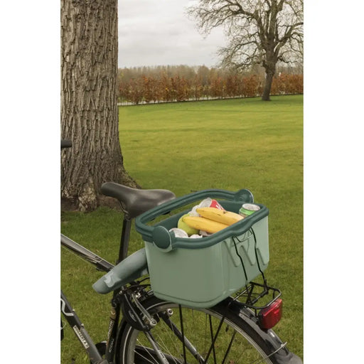 Tourist Refrigerator green 10L 261196 CURVER - Mini fridgesAGD-LOT<<<Home Appliance - ProductsAGD<<<ActionPL