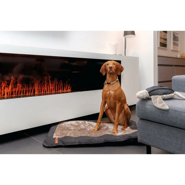 Training collar Trixie BE NORDIC Black Sand M 45 cm - Домашни Животни<<<Дом Градина<<<BigBuy&&&Пътуване и