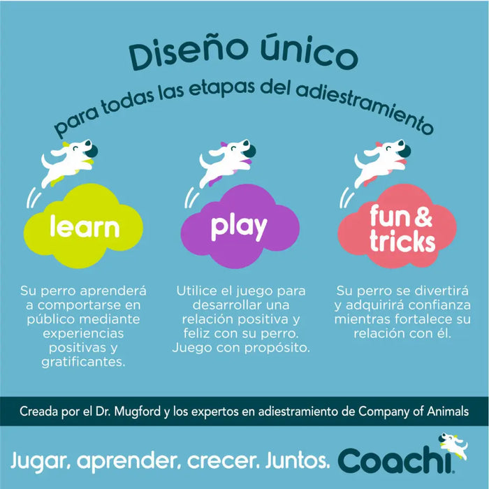 Training lead Coachi Blue Training - Домашни Животни<<<Дом Градина<<<BigBuy&&&Пътуване и разходки<<<Домашни