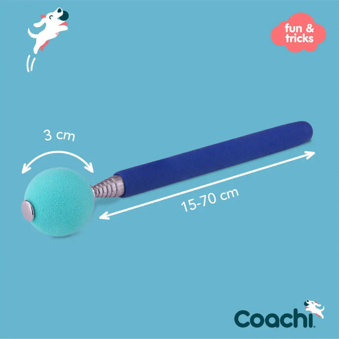 Training toy Coachi Stick Blue - Домашни Животни<<<Дом Градина<<<BigBuy&&&Играчки<<<Домашни Животни<<<Дом