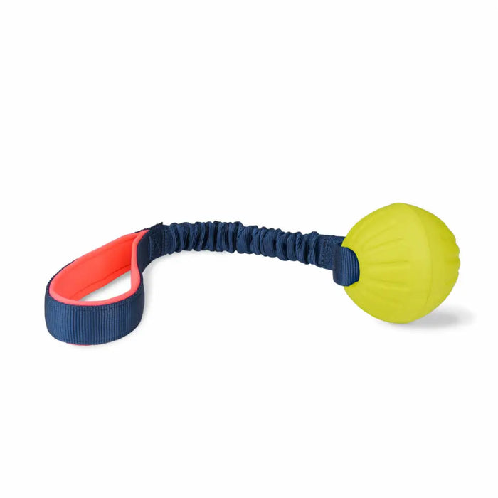 Training toy Coachi TUGGI BALL Blue - Домашни Животни<<<Дом Градина<<<BigBuy&&&Играчки<<<Домашни Животни<<<Дом