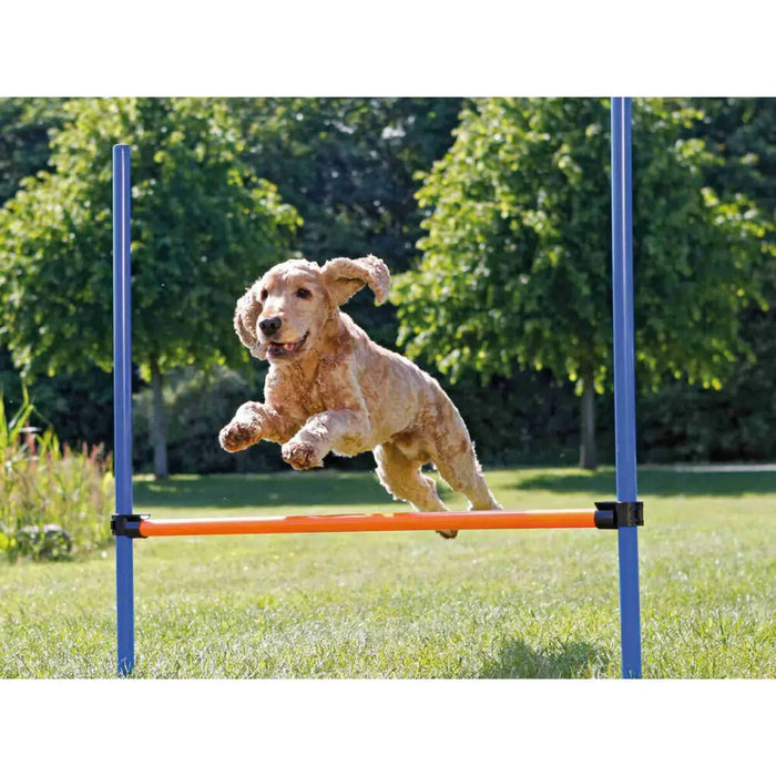 Training toy Trixie - Домашни Животни<<<Дом Градина<<<BigBuy&&&Здраве и хигиена<<<Домашни Животни<<<Дом Градина<<<BigBuy