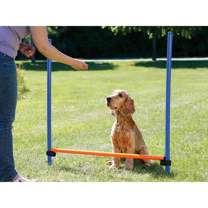 Training toy Trixie - Домашни Животни<<<Дом Градина<<<BigBuy&&&Здраве и хигиена<<<Домашни Животни<<<Дом Градина<<<BigBuy