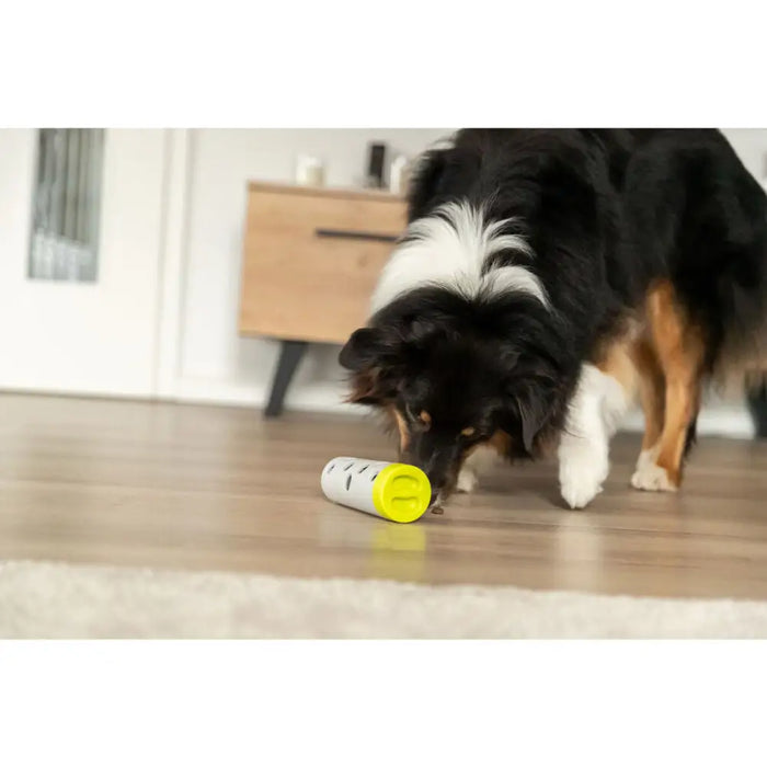 Training toy Trixie Snacks - Домашни Животни<<<Дом Градина<<<BigBuy&&&Здраве и хигиена<<<Домашни Животни<<<Дом