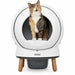 Tray PetSafe - Домашни Животни<<<Дом Градина<<<BigBuy&&&Здраве и хигиена<<<Домашни Животни<<<Дом Градина<<<BigBuy