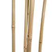 Tree Home ESPRIT Polyester Bamboo 80 x 80 x 180 cm - Декорация и Осветление<<<Дом Градина<<<BigBuy&&&Други артикули за