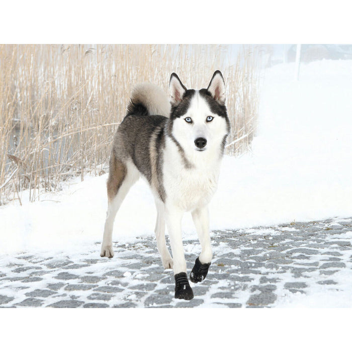 Boots Trixie 19465 Black L