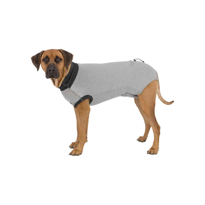 Body protector for dogs Trixie Grey S